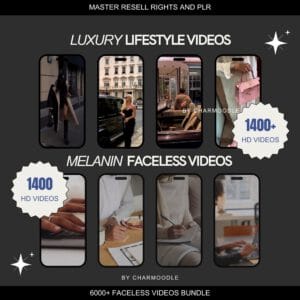 8000+ Aesthetic Faceless Videos | Reels for TikTok, Instagram & Shorts | PLR/MRR Bundle
