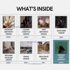 8000+ Aesthetic Faceless Videos | Reels for TikTok, Instagram & Shorts | PLR/MRR Bundle