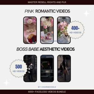 8000+ Aesthetic Faceless Videos | Reels for TikTok, Instagram & Shorts | PLR/MRR Bundle