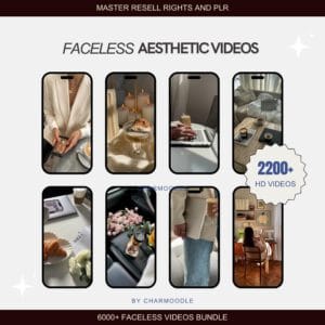 8000+ Aesthetic Faceless Videos | Reels for TikTok, Instagram & Shorts | PLR/MRR Bundle