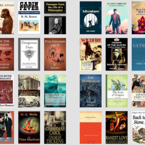 Get 1000 timeless and famous classic novels in digital format—fully customizable, 100% copyright-free, and packed with full PLR rights.